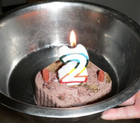 Fodyho druhé narozeniny